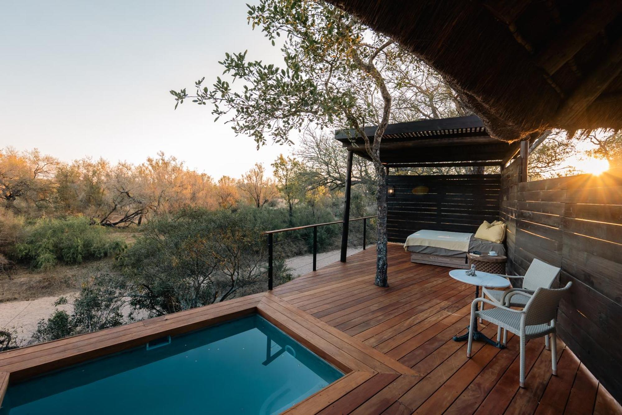 Thornybush Simbambili Lodge Reserva de caza Sabi Sand Exterior foto