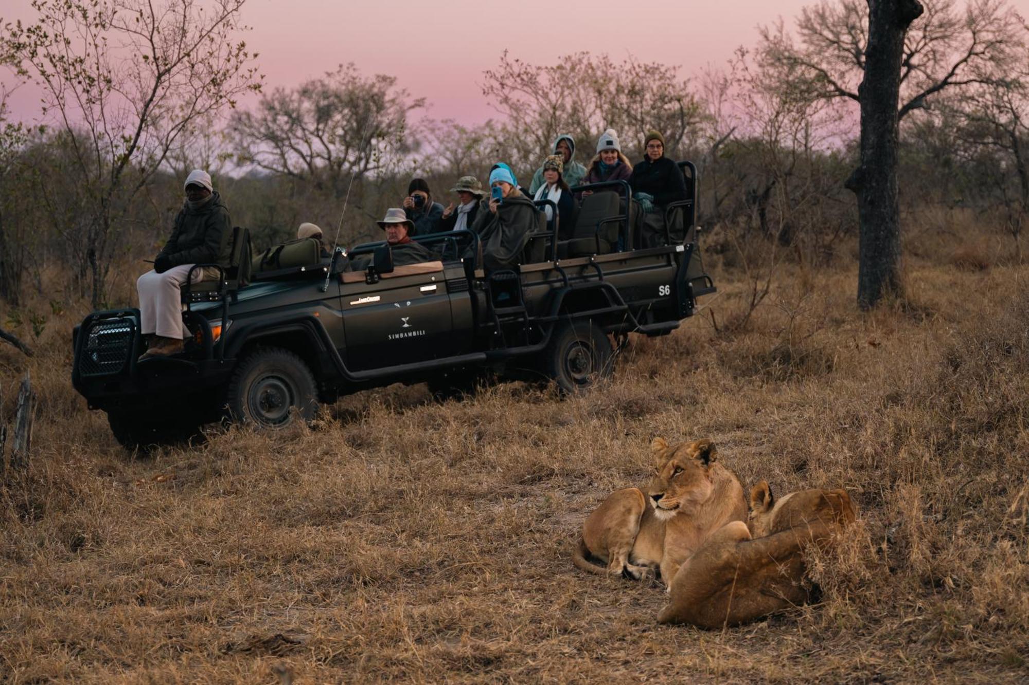 Thornybush Simbambili Lodge Reserva de caza Sabi Sand Exterior foto