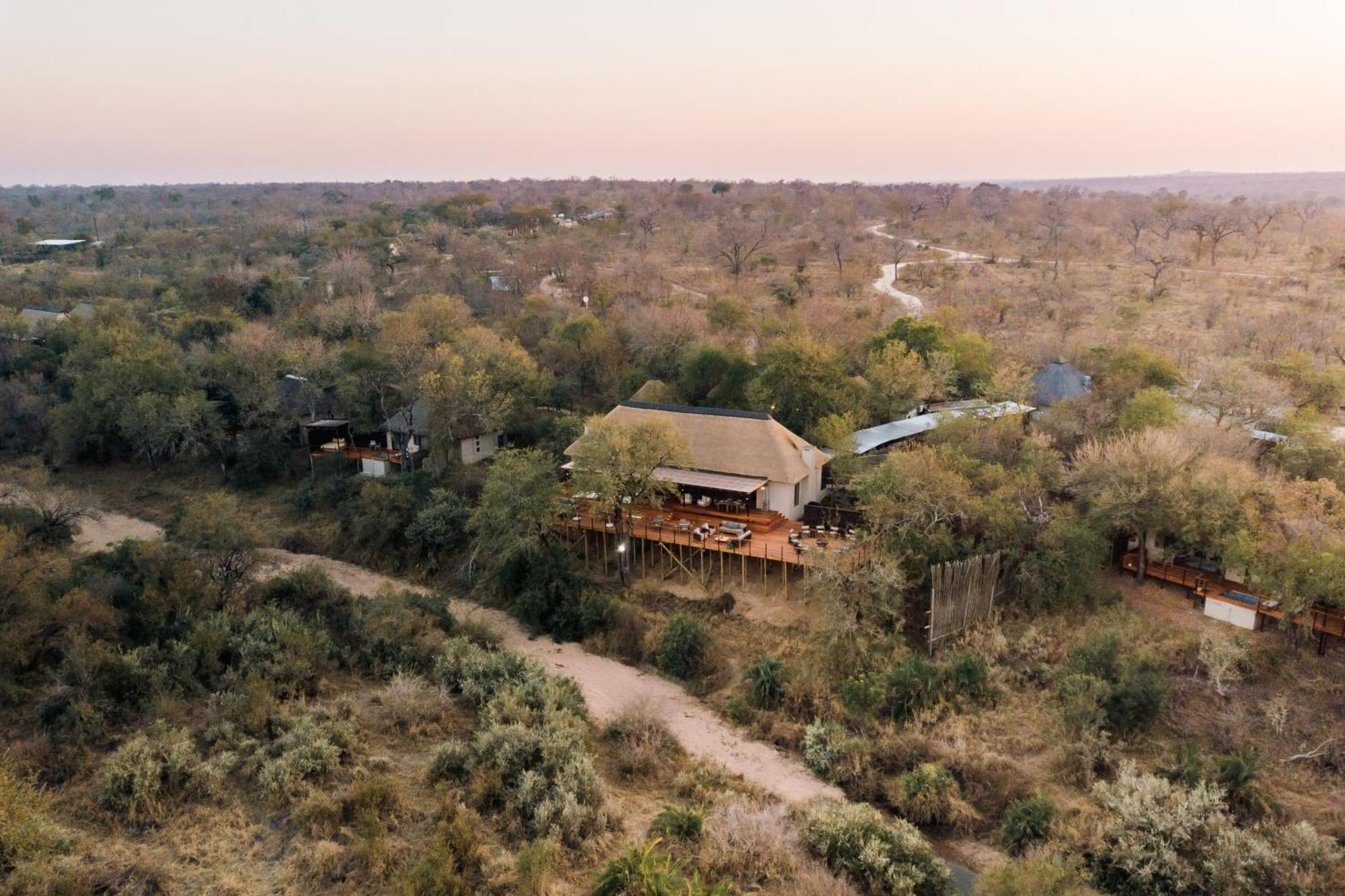 Thornybush Simbambili Lodge Reserva de caza Sabi Sand Exterior foto