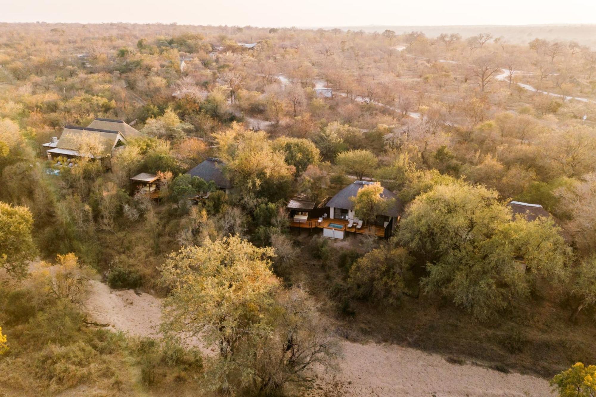 Thornybush Simbambili Lodge Reserva de caza Sabi Sand Exterior foto