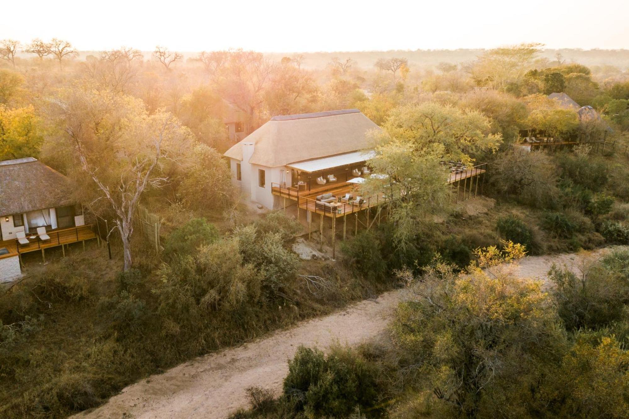 Thornybush Simbambili Lodge Reserva de caza Sabi Sand Exterior foto